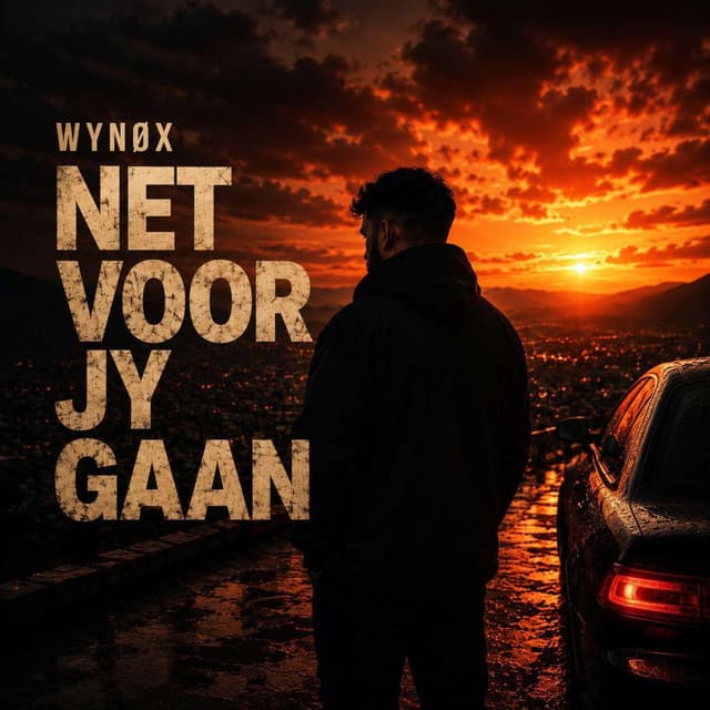 Net Voor Jy Gaan artwork
